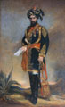 Colonel Probyn, CB, VC, and Honorary ADC to the Viceroy of India and HM's Indian Cavalry, 1867
