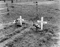 Graves of Trooper Connelly and Driver Harrison, France, 1944