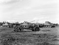'Captured enemy guns and re-captured British Sherman 17-pounder tanks taken by the 44th RTR near Trun', Normandy, 1944
