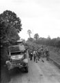 'German prisoners captured by the regiment and 60th KRRC being marched back by FFI', 1944