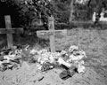 Graves of Corporal R H Brown and Trooper V Brent, 3rd/4th County of London Yeomanry (Sharpshooters), killed in action, Belgium, 1944
