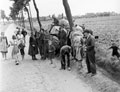 A ditched tank of the 3rd/4th County of London Yeomanry (Sharpshooters) on the road between Cruyshautem and Nokere, September, 1944
