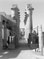 'Lotus columns in Luxor Temple', Egypt, 1943