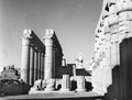 'Papyrus [and] Lotus columns. Luxor Temple', Egypt, 1943