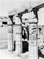 'Papyrus columns in the small garden of the Temple of Karnak', Egypt 1943