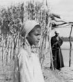 'Native boy', Egypt 1943