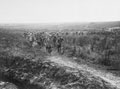 German prisoners being brought in after the capture of La Boisselle, by the 19th Division, 3 July 1916