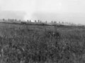 Battle of the Somme, 1 July 1916