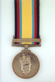 Gulf Medal 1990-91, specimen
