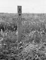 Grave of Sergeant F J Doel, 3rd County of London Yeomanry (Sharpshooters), Normandy, 1944