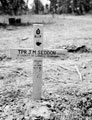Grave of Trooper J M Seddon, 3rd County of London Yeomanry (Sharpshooters), Normandy, 1944