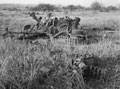 The remains of a German self-propelled gun destroyed by 'A' Squadron, 3rd County of London Yeomanry (Sharpshooters), Etteville Ridge', 11 July 1944