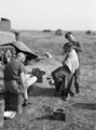 'Tony Troiano giving Gordon Richards a haircut', France, 1944
