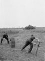 Members of 3rd/4th County of London Yeomanry (Sharpshooters) enjoy a game of cricket, 1944