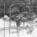 Crossing a jungle river, 1948 (c)