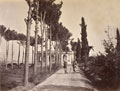 Afghans in Babur's gardens, Jellalabad, 1878