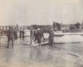 Horses landing during the simulated landings at Clacton-on-Sea, September 1904