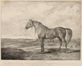 'Copenhagen The Horse rode by the Duke of Wellington at the Battle of Waterloo, was bred by General Grosvenor', 1824 (c)
