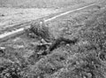 The body of a German Jagd-Panther tank crewman, 1944