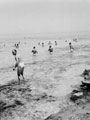 'Swimming', 3rd County of London Yeomanry (Sharpshooters), near Tripoli, Libya, 1943