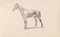 Study of horse, 1893