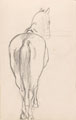 Study of horse, 1893
