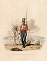 Private of the 5th West India Regiment, 1812