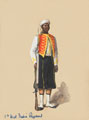 Private in full dress, 1st West India Regiment, 1900