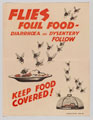 'Flies Foul Food', medical information poster, British Army, 1945
