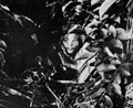 Bren gunner, 7th Gurkha Rifles, Burma, 1944 (c)