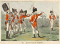 'The Auckward Squad', 1793