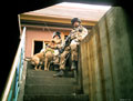 Members of 1st Military Working Dog Regiment with an Arms and Explosives Search (AES) dog, 2007 (c)