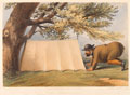 'The Patrol Tent', 1851 (c)