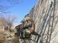 Compound search, Helmand province, Afghanistan, 2011