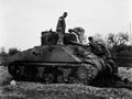 Sherman tank, 1st Canadian Armoured Brigade, Termoli, Italy, 1943