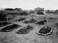 Wayside cemetery between San Severo and Serracapriola, Italy 1943