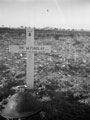 Grave marker of Trooper William Findlay, 'A' Squadron, 3rd County of London Yeomanry (Sharpshooters), Termoli, Italy, 1943
