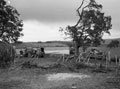 'Farmhouse used for Sqdn. HQ.  sleeping for night on ranges near Serracapriola', 3rd County of London Yeomanry (Sharpshooters), Italy, 1943
