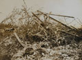 German barbed wire at Beaucourt, November 1916