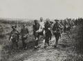 British soldiers with wounded German prisoners, La Boisselle, 3 July 1916