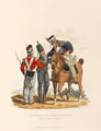 '3rd Hussars, Infantry and Light Infantry. King's German Legion', 1815 (c)