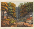 'Entrance to the Foret de Soigne (near Brussels), 1815 (c)