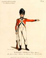 'Bank of England Lt. Infantry', 1799 (c)