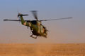 Lynx helicopter, Army Air Corps, Basra, Iraq, 2003
