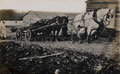 Horses pulling a wagon loaded with timber, 1916 (c)