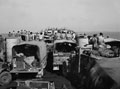 Motor transport of 3rd County of London Yeomanry on a Landing Ship Tank (LST), 1943