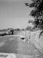 'Road to Cassibile near the beachhead', Sicily, July 1943