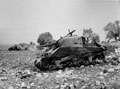 'Ken Carroll's tank', disabled Sherman tank, 3rd County of London Yeomanry (Sharpshooters), Sicily, July 1943