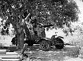 German 88 mm anti-tank gun knocked out by 4 Troop 'A' Squadron, 3rd County of London Yeomanry (Sharpshooters), Sicily, 1943