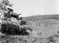 Sherman tanks of 3rd County of London Yeomanry (Sharpshooters) take up a defensive position, Sicily, 1943